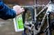 Шампунь Juice Lubes General Cleaner 1л