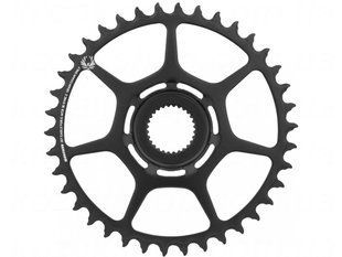 Звезда SRAM X-SYNC 2 38T Steel Eagle Bosch Gen4 Direct Mount Black (NON BOOST) 00.6218.013.004