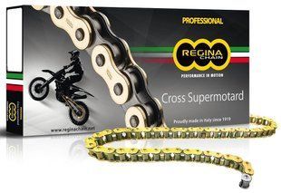 Ланцюг Regina RH2 Chain - 420 [Gold], 420-138L / No Seal 124RH2/1001