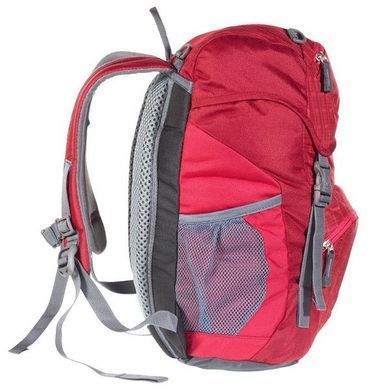 Рюкзак Deuter Junior цвет 5003 raspberry-check 36029 5003