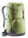 Рюкзак Deuter Walker 24 цвет 2443 pine-graphite 3810717 2443