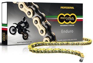 Мото цепь Regina ZSE Chain - 520 [Gold], 520-118L / Seal Ring 135ZSE/1003