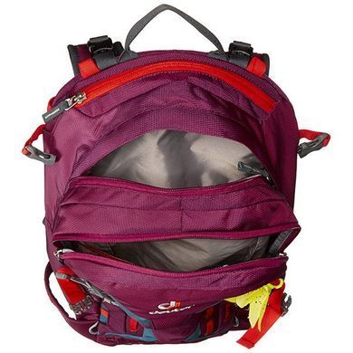 Рюкзак Deuter Freerider Pro 28 SL колір 5309 blackberry-arctic 3303317 5309