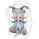 Рюкзак Deuter AC Lite 22 SL цвет 3349 blueberry-turquoise 3420216 3349