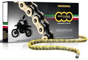 Ланцюг Regina ZRE Chain - 525 [Gold], 525-114L / Seal Ring 137ZRE/013